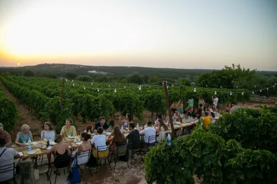 Découvrez la vallée d’itria en pouilles lors d’une balade dans les vignes, dégustez quatre vins locaux accompagnés de plats faits maison, et partagez un moment convivial dans une ferme familia
