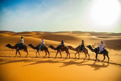 Feel the shift from marrakech’s bustle to merzouga’s quiet dunes on a 3-day desert tour—camel rides, berber tents, and kasbah ait ben haddou. includes hotel pickup.