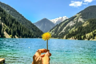 Wake up early for a small-group day trip from almaty to charyn canyon, kaindy lake & kolsai lake with pickup, hearty local lunch, and a guide who knows the stories.