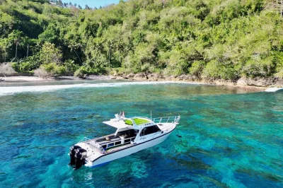 Swim with manta rays, snorkel vibrant reefs, and see kelingking cliff on a nusa penida day trip from sanur. includes private speed boat, lunch, and guide.