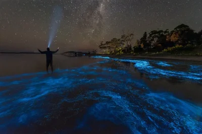 Glissez sur les eaux lumineuses près de cocoa beach avec un petit groupe guidé par des locaux. matériel inclus, photos offertes, accès facile depuis orlando—réservez vite votre place.