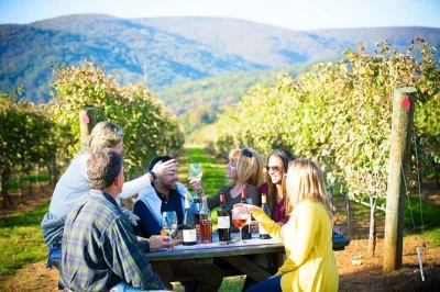 Feel the maipo valley’s flavors on a small group wine tour from santiago. visit 4 vineyards, enjoy tastings, meet alpacas, and relax with lunch. includes pickup.