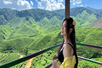 Cool off in cameron highlands with a day trip from kuala lumpur—explore tea plantations, local markets, and a waterfall. includes lunch and hotel pickup.