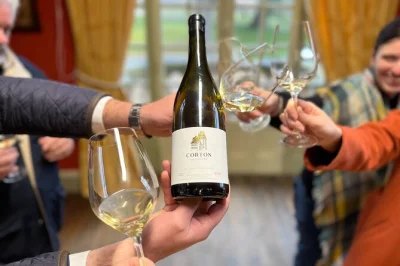 Follow burgundy’s grand crus route from beaune with a local guide, taste 14 wines including grand cru, and stop at clos de vougeot. small group, transport included.