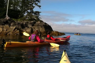 Descubre la tranquilidad del bosque tongass, rema entre islas de selva, observa leones marinos y águilas. grupos pequeños, snack de salmón ahumado y recogida flexible desde los muelles de cruceros.