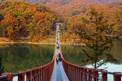 Feel the tension at korea’s dmz, walk the 3rd tunnel, spot north korea from dora observatory, and cross majang lake’s suspension bridge. includes pickup and guide.