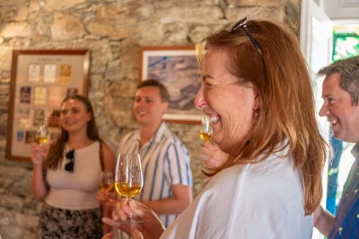 Scopri il ritmo della valle del douro con un tour privato tra due cantine, pranzo tradizionale e una rilassante crociera sul fiume—ritiro in hotel incluso per una prenotazione senza pensieri.