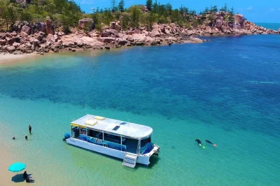 Feel the wild side of magnetic island—snorkel reefs, paddle hidden bays, and share stories with guides. includes morning tea, all gear, and reef education.