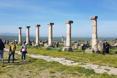 Step into ancient volubilis and meknes from fes with a local guide, panoramic dam views, and hotel pickup—history, architecture, and moroccan culture in one day.