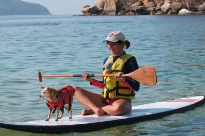 Scopri la calma di acapulco bay in paddle board, avvista tartarughe o delfini e porta con te il tuo animale. tutto l’equipaggiamento e istruttori locali inclusi.