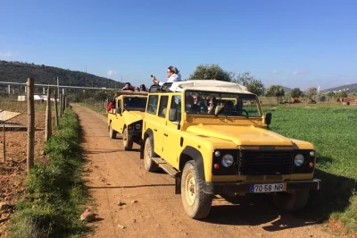 Feel the algarve countryside on a half-day jeep safari from albufeira—taste medronho, swim at alte’s fountains, and meet locals. includes pickup & local guide.