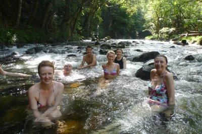 Hear the rainforest wake up, taste tropical fruit, and walk mossman gorge with a guide. includes wildlife cruise, private creek swim, and lunch near cape tribulation.