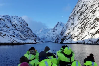 Hear sea eagles’ wings and glide through trollfjord on a rib boat from svolvaer. includes floating suit, goggles, and local guide stories—book your lofoten adventure.