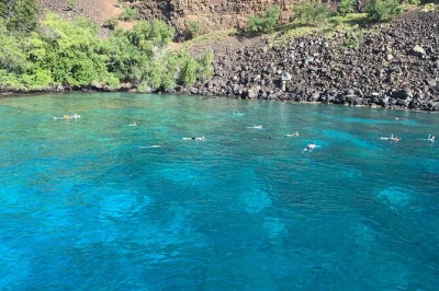 Kealakekua bay, snorkeling tra i delfini e pranzo fresco a bordo in questo tour guidato da kailua-kona. attrezzatura e snack inclusi per un’esperienza indimenticabile.