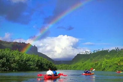 Inizia la tua giornata a kauai con un kayak guidato sul fiume wailua, poi una camminata nella foresta pluviale fino alle secret falls. tutto l’equipaggiamento incluso, guida esperta e dry bag.