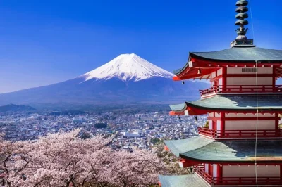 Scopri il fascino del monte fuji in un tour di un giorno da tokyo: visita il lago kawaguchi, il parco oishi e il villaggio di oshino hakkai con guida locale e trasporto incluso.