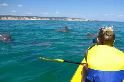 Feel the salt air on a noosa kayak tour, paddle with dolphins, ride a 4wd along wild beaches to double island point, with local guide and all gear included.