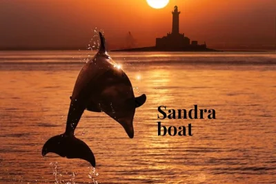 Medulin, dauphins, croisière au coucher du soleil, phare de porer, dîner frais et boissons inclus avec guide local.