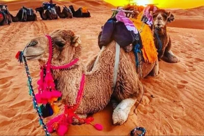 Hear berber music by a campfire, ride camels across erg chebbi dunes, and sleep in a private tent in merzouga’s sahara. includes dinner, breakfast, and sandboarding.