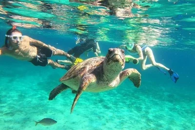 Swim with turtles in cyprus using sea scooters, guided by locals who know each turtle by name. includes gear, photos, transport & fruit—book your spot.