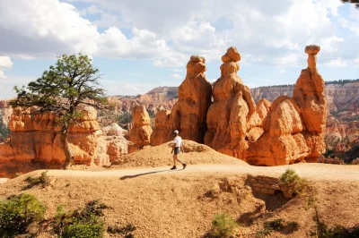 Feel the scale of bryce canyon’s hoodoos and zion’s cliffs on a full-day trip from las vegas, including lunch, park entry, and hotel pickup for easy booking.