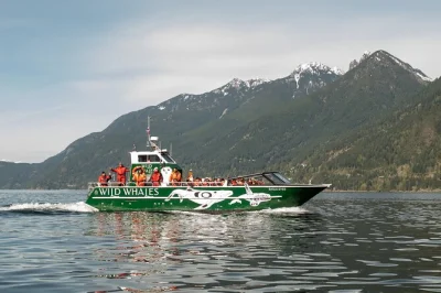 Feel the ocean spray on a whale watching tour from granville island with marine naturalists, 360° open-air views, and wildlife encounters. includes anti-exposure suit.
