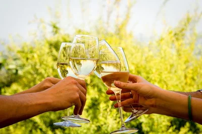 Feel the cape’s wine culture on a day trip from cape town with tastings in stellenbosch, franschhoek & paarl. includes hotel pickup, guided walk & sweet pairings.