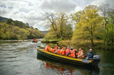 Partez de kate kearney’s cottage, traversez à pied ou en calèche le gap of dunloe, puis naviguez sur les lacs de killarney jusqu’au château de ross — transport et guide local inclus.