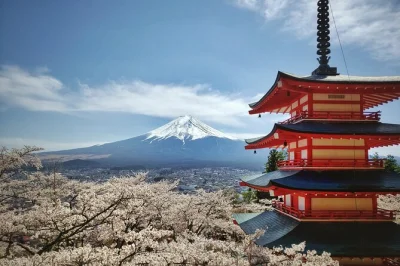Scopri la maestosità silenziosa del monte fuji in un’escursione da tokyo con guida in spagnolo. visita i laghi, passeggiata nella foresta di aokigahara e pranzo incluso.