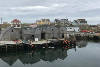 Feel the salt air at peggy’s cove, wander lunenburg’s bright streets, and taste nova scotia wine on a flexible small group tour with hotel pickup and local guide.