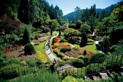 Feel the sea breeze on a ferry ride from vancouver, stroll victoria’s inner harbour, and wander butchart gardens with a local guide. includes pickup and return.