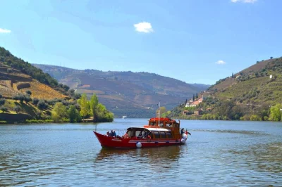 Scopri la valle del douro con degustazioni in due vigneti, una crociera sul fiume da pinhão e un pranzo tradizionale in cantina. include transfer e guida locale.