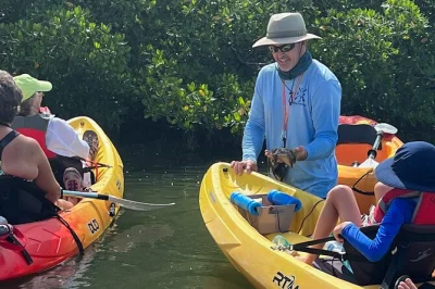 Scopri il lato selvaggio di don pedro island in kayak con una guida master naturalist della florida. naviga tra i tunnel di mangrovie, avvista delfini e lamantini e scopri i segreti locali.