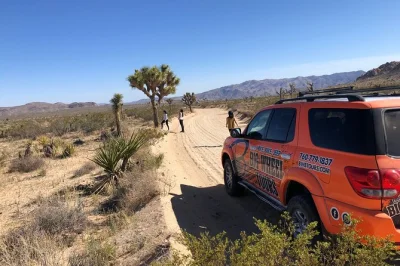 Scopri il lato selvaggio di joshua tree con un tour 4x4 su sentieri impervi, accompagnato da una guida locale, snack e commento dal vivo. partenza vicino a palm springs in piccoli gruppi.