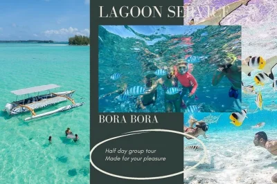 Circle bora bora’s lagoon by boat, snorkel vibrant coral gardens, and meet stingrays up close. small group, gear and drinks included. reserve your spot now.