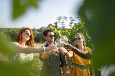 Share laughter, taste provence rosé & meet winemakers on a small group day trip from nice. includes expert guide, air-conditioned transport & 15+ wine tastings.