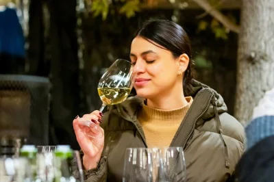 Walk pirque valley’s historic vineyards, taste 4 premium wines at concha y toro, explore casillero del diablo cellars, and relax with round-trip transfer included.