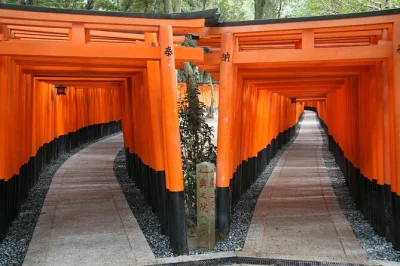 Scopri kyoto autentica: cammina sotto i torii rossi di fushimi inari, gusta un pranzo a buffet ad arashiyama e ammira il riflesso dorato del kinkaku-ji. ingresso e guida in inglese inclusi.