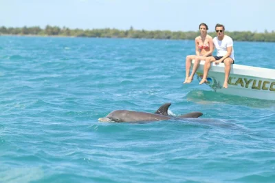 Scopri la natura selvaggia di sian ka'an con un tour in barca a punta allen, snorkeling sulla barriera corallina, pranzo fresco locale e trasferimento dall’hotel a tulum. gruppi piccoli, avventura a