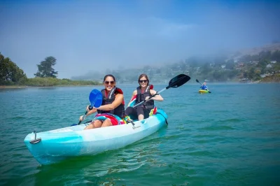 Scopri la brezza del pacifico mentre navighi sul russian river da jenner, osservi foche e uccelli, e cammini sulla spiaggia della sonoma coast—tutto l’equipaggiamento e guida locale inclusi.