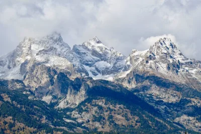 Feel the wild heart of grand teton on a half-day tour from jackson or teton village. spot moose, elk, bison, and take in jenny lake, oxbow bend, and more. includes hotel pickup.