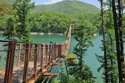 Feel the tension at korea’s dmz, walk the 3rd tunnel, meet a north korean defector, and see imjingak park with hotel pickup and expert guide included.