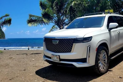 Découvrez le côté sauvage de maui avec une excursion privée sur la road to hana : cascades, plages de sable noir et rouge, et gourmandises locales. prise en charge à l’hôtel incluse.