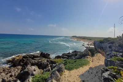 Step inside cozumel’s jungle for a private mayan ruins tour, swim in a cenote, taste tequila at a local ranch, and share a picnic lunch—includes pickup and guide.