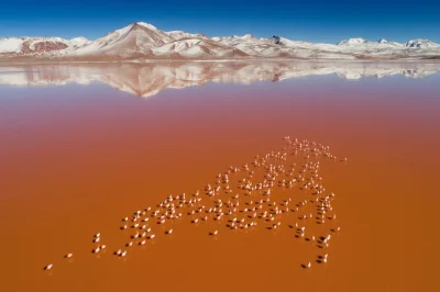 Arrive in uyuni, wander the salt flats, see flamingos at laguna colorada, soak in polques hot springs, and catch that surreal mirror sunset. includes meals & expert guide.