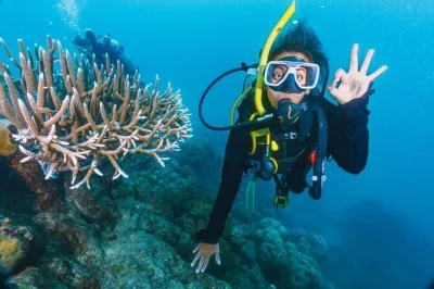 Feel the thrill of your first red sea dive near hurghada, with two guided stops, a fresh buffet lunch on deck, and hotel pickup for a relaxed day out.