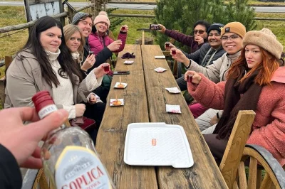 Soak in zakopane’s mountain views, ride the gubałówka cable car, taste smoky oscypek cheese and vodka, and unwind in hot springs. includes pickup from krakow.