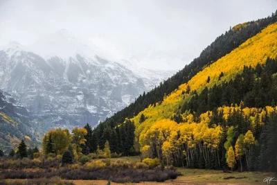 Feel the crisp colorado air on a rocky mountains day trip from denver, with alpine lakes, wildlife spotting, and a picnic lunch in the park. includes pickup.