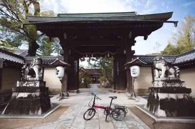 Scopri kyoto in e-bike tra stradine tranquille, ammira il riflesso dorato di kinkakuji, esplora i giardini dei templi con una guida locale e approfitta di orari flessibili.