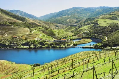 Scopri la valle del douro con un tour vini in piccolo gruppo da porto, con pranzo, due degustazioni e crociera sul fiume. include pick-up e guida locale.